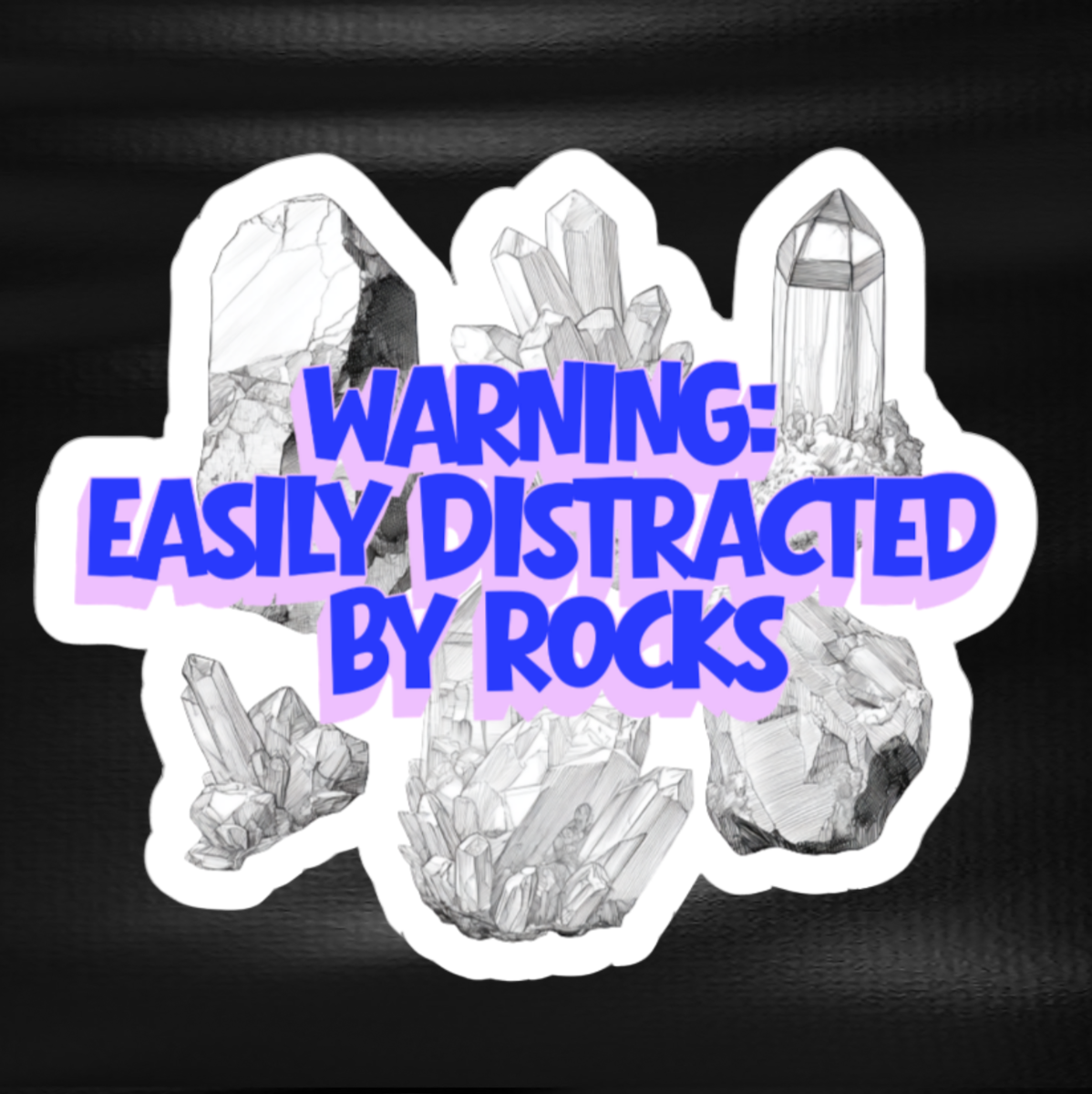 Fridge Magnet - 'Warning Easily Distracted by Rocks'