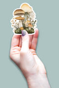 Waterproof Vinyl Die-Cut Sticker -Woodland Mushroom Cluster