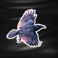 Fridge Magnet - Raven